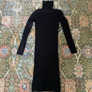Express Turtleneck Knit Dress